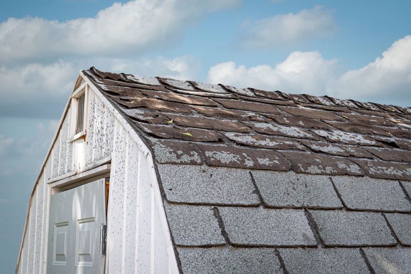 Shed Damage Repair
