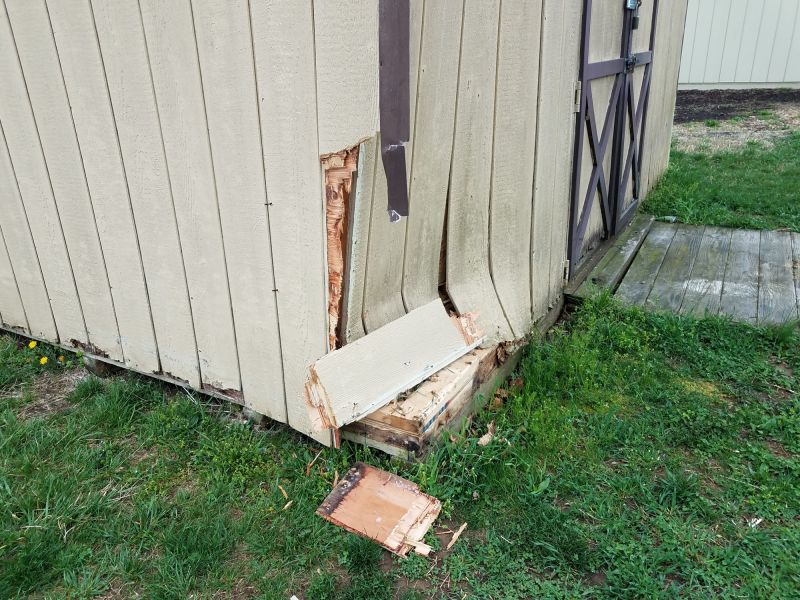 Shed Damage Repair